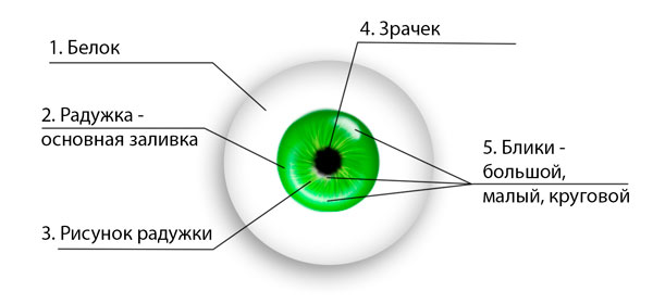 Как рисовать блики